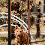 Karmel 616093903027039