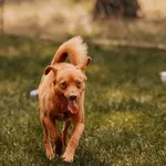 Tofik 616093903027027