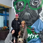 Pies do adopcji, Gdańsk, 20 maja 2025