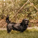 Bambo  616093903027024