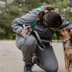 Pies do adopcji, Nowodwór, 28 maja 2025