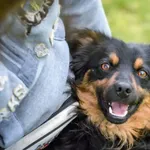 02.04.2025- Wronckiej / 012500146