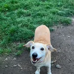 Janka -ur. ok. 03.09.2020r.