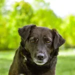 13.05.2025 - Witosa / 012500223