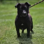 21.04.2025- Aleksandrowicza / 012500170