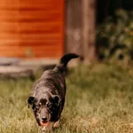 Dżeki 616093903032278