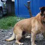 Gary