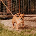 Ludwik 616093903032172