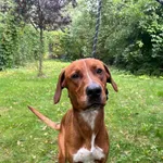 13146/112/25   data przyjęcia - 25.06.2025