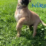 13155/121/25   Niko data przyjęcia - 27.06.2025