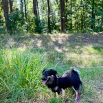 Gniewko 310/2025 REZERWACJA