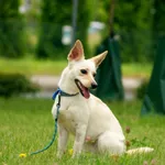 Lulu - Ur.ok. 29.05.2023r.