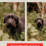 Fretka 616093903032446