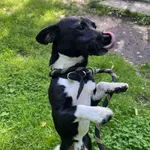 13176/142/25 -   data przyjęcia - 06.08.2025