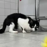 Zgredek 616093902932195