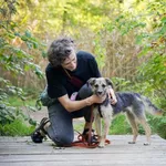 Znaleziono psa, Sosnowiec, 12 sierpnia 2025