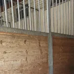 Znaleziono psa, Sosnowiec, 13 sierpnia 2025