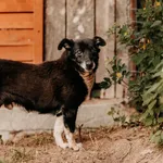 Czesio 616093903032032