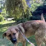 13190/156/25 Komi - data przyjęcia - 26.08.2025