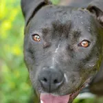 13.07.2025 - ul. Parkowa /012500346