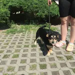 23.07.2025 - ul . Skłodowskiej / 012500368