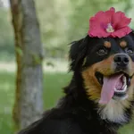 01.07.2025 - ul. Juranda / 012500316