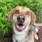 Oddam psa, Warszawa, 9 września 2025