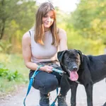 Pies do adopcji, Nowodwór, 22 września 2025