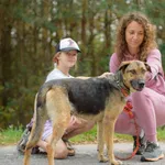 Pies do adopcji, Nowodwór, 22 września 2025