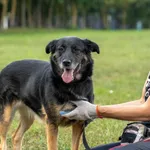 Suzi