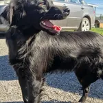 Aza z Iwanowic Rezerwacja