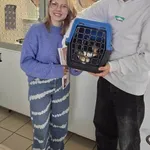 Kot do adopcji, Gdańsk, 1 października 2025