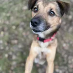 GK/14/1/25 Tofifi  - data przyjęcia - 03.10.2025