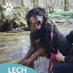 Lech