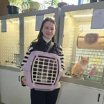 Kot do adopcji, Gdańsk, 24 października 2025