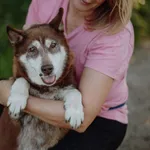 Oddam psa, Olsztyn, 25 października 2025