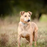 Oddam psa, Warszawa, 28 października 2025