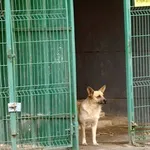 Pablo
