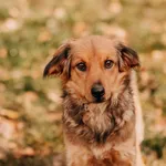 Chrupka 616093903032101