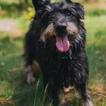 Roki