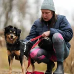 Pies do adopcji, Sosnowiec, 31 października 2025