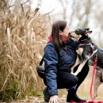 Pies do adopcji, Sosnowiec, 9 listopada 2025