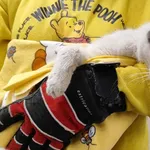 Kocurek poz. 25/880/K