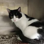 4770/162/25 Morax - data przyjęcia - 23.11.2025