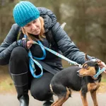 Pies do adopcji, Nowodwór, 29 listopada 2025