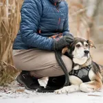 Znaleziono psa, Sosnowiec, 28 listopada 2025