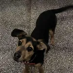 13249/215/25 Fiszka  - data przyjęcia - 2.12.2025