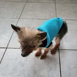 Andżelina 522/2025 w trakcie diagnostyki