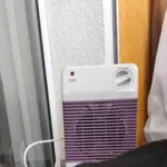 Znaleziono kota, Toruń, 9 listopada 2025