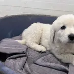 13253/219/25 - data przyjęcia - 7.12.2025